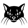 Města duchů: Ultharské kočky – Sběratelská edice