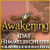 Awakening: Das Himmelsschloss Sammleredition -  gratis zu spielen