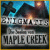 Enigmatis: Die Seelen von Maple Creek - versuchen Spiel kostenlos