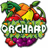 Orchard