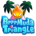 Downloadable games for PC - Brrrmuda Triangle