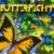  Download game Butterflight