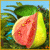 Mac game download > Dream Fruit Farm: Paradise Island