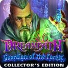 Dreampath: Guardian of the Forest Collector's Edition