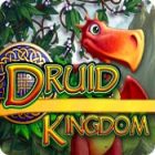 Play game Druid Kingdom