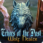 Top Mac games - Echoes of the Past: Wolf Healer