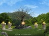 Enchanted Cavern game image latest