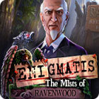 Cool PC games - Enigmatis: The Mists of Ravenwood
