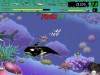 Feeding Frenzy