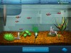 FishCo game image middle