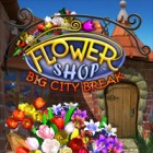 Download free PC games - Flower Shop: Big City Break