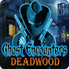 Play game Ghost Encounters: Deadwood
