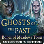 Top 10 PC games - Ghosts of the Past: Bones of Meadows Town Collector's Edition
