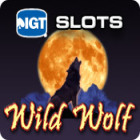Games for Mac - IGT Slots Wild Wolf