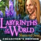 PC game demos - Labyrinths of the World: Shattered Soul Collector's Edition