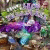  Download game Little Shop of Treasures