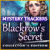 Download Mac games > Mystery Trackers: Blackrow's Secret Collector's Edition