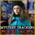 Free download PC games > Mystery Trackers: The Four Aces