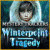Mac games download > Mystery Trackers: Winterpoint Tragedy
