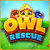 PC games > Owl Rescue