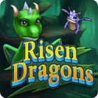Game game PC - Risen Dragons