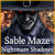 PC game downloads > Sable Maze: Nightmare Shadows