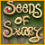 Games for PC > Seeds of Sorcery