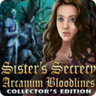 Best PC games - Sister's Secrecy: Arcanum Bloodlines Collector's Edition