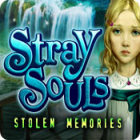 Play game Stray Souls: Stolen Memories