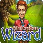 Play game The Beardless Wizard
