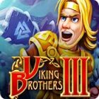 Play game Viking Brothers 3