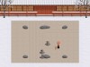 Zen Puzzle Garden