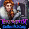 Dreampath: Gardiens de la Forêt