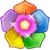 Flower Quest -  לקנות מתנה