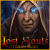 Lost Souls: I dipinti magici -  gioco scaricare