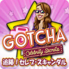 Gotcha:追跡！セレブ・スキャンダル