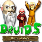 Druids. Battle of Magic