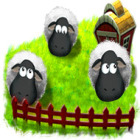Koşan Koyunlar: Minik Dünyalar