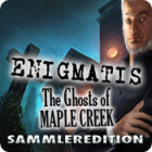 Enigmatis: Die Seelen von Maple Creek Sammleredition
