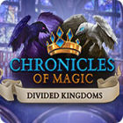 Chronicles of Magic: The Divided Kingdoms