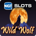 IGT Slots Wild Wolf