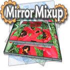 Mirror Mix-Up