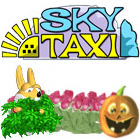 Sky Taxi