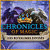 Chronicles of Magic: Les Royaumes Divisés